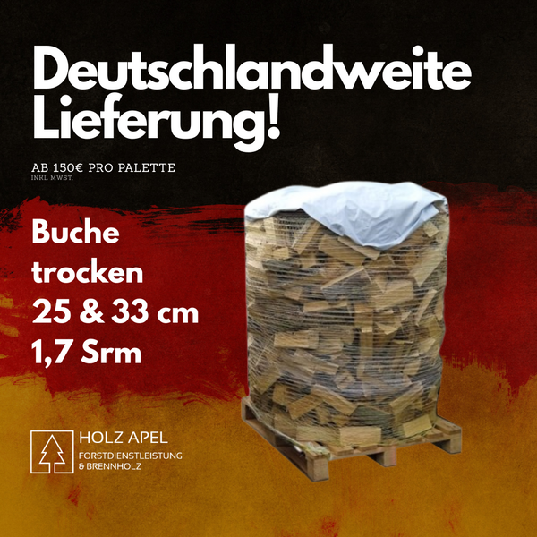 Kaminholz Buche