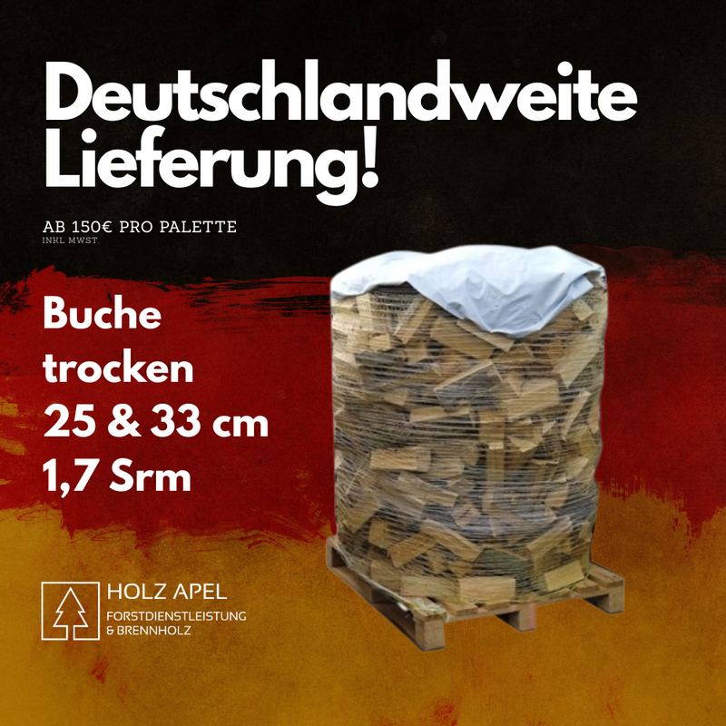 Kaminholz Buche